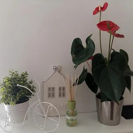 La Perla Sul Di Con Parcheggio Apartman *