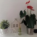 Le Mure Di Como Con Parcheggio アパート *